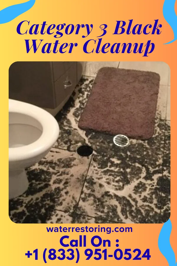 Category 3 Black Water Cleanup in Ethelsville, AL