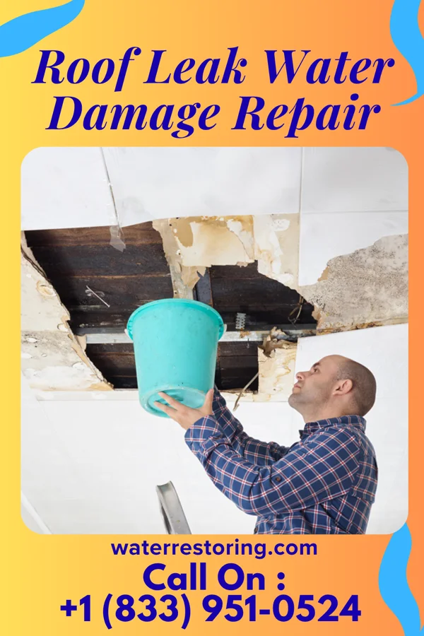 Roof Leak Water Damage Repair in Ethelsville, AL