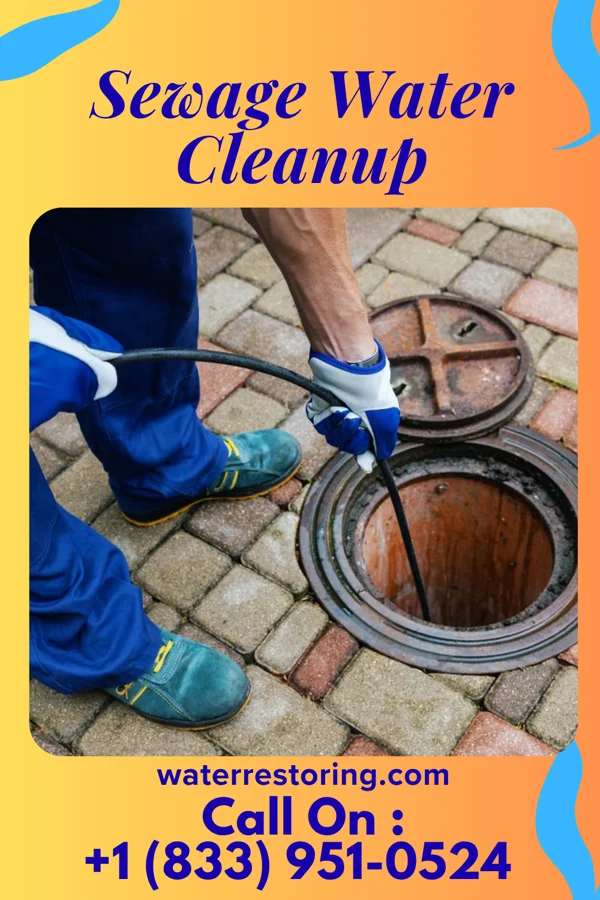 Sewage Water Cleanup in Ethelsville, AL